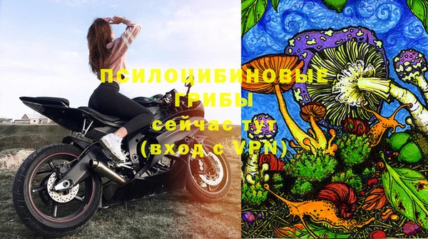 стафф Киреевск