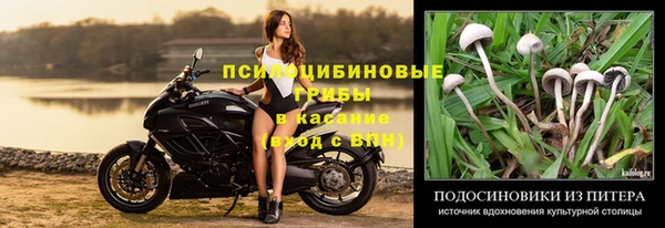 стафф Киреевск