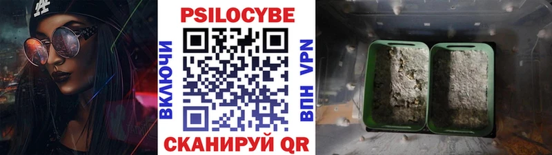 Псилоцибиновые грибы ЛСД Каменногорск