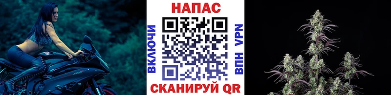 Бошки Шишки Bruce Banner Каменногорск